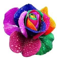 Rose flower seeds for sale  Delivered anywhere in UK