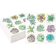 Sparkle bash succulent for sale  Delivered anywhere in USA 