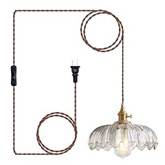 Xzhgcee plug pendant for sale  Delivered anywhere in USA 