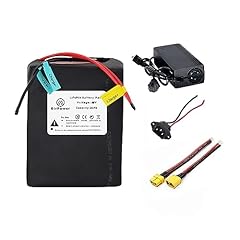 48v 20ah lifepo4 for sale  Delivered anywhere in USA 