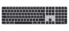 Apple magic keyboard usato  Spedito ovunque in Italia 
