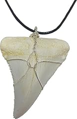Grant field specimens for sale  Delivered anywhere in USA 