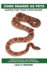 Corn snakes pets for sale  Delivered anywhere in UK