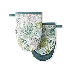 Martha stewart succulents for sale  Delivered anywhere in USA 