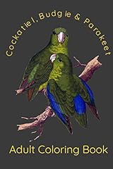Cockatiel budgie parakeet for sale  Delivered anywhere in USA 