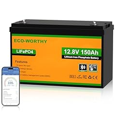Eco worthy lifepo4 usato  Spedito ovunque in Italia 