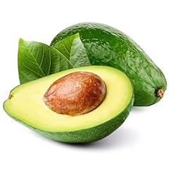 Avocado units 5 for sale  Delivered anywhere in UK