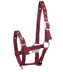 Nylon foal headcollar usato  Spedito ovunque in Italia 