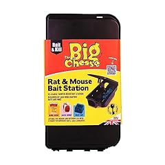 Big cheese rat for sale  Delivered anywhere in UK