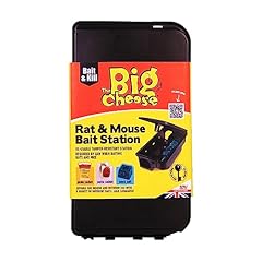 Big cheese rat for sale  Delivered anywhere in UK