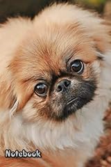 Notebook pekingese for sale  Delivered anywhere in Ireland