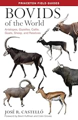 Bovids antelopes gazelles for sale  Delivered anywhere in USA 