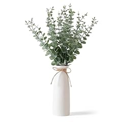 Shanranplus vase greenery for sale  Delivered anywhere in USA 