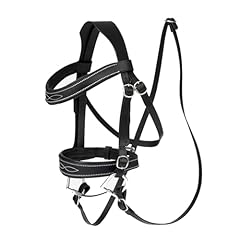 Lemieux hobby horse usato  Spedito ovunque in Italia 