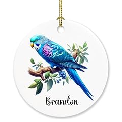 Customized name bird for sale  Delivered anywhere in USA 