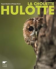 Chouette hulotte d'occasion  Livré partout en France