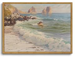 Kissfox vintage ocean for sale  Delivered anywhere in USA 