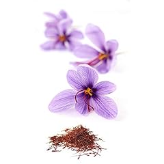 Saffron crocus bulbs for sale  Delivered anywhere in USA 