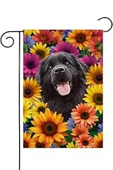 Hililian sunflower newfoundlan for sale  Delivered anywhere in USA 
