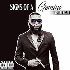 Signs gemini explicit for sale  Delivered anywhere in USA 