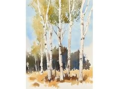 Summer birch trees for sale  Delivered anywhere in USA 