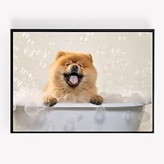 Chow chow dog for sale  Delivered anywhere in Ireland