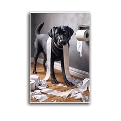 Xwnltepk black labrador for sale  Delivered anywhere in USA 