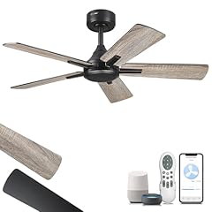 Youkain ceiling fan for sale  Delivered anywhere in USA 