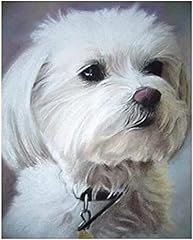 Yscolor diamond painting d'occasion  Livré partout en France