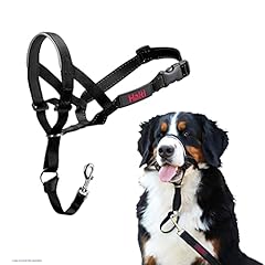 Halti headcollar size for sale  Delivered anywhere in UK