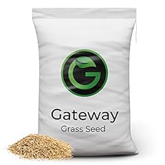 Horse paddock grass for sale  Delivered anywhere in UK