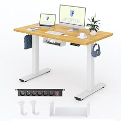 Flexispot höhenverstellbarer  gebraucht kaufen  Wird an jeden Ort in Deutschland