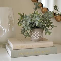 Beautiful decorative books for sale  Delivered anywhere in USA 