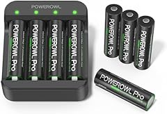 Powerowl batteria litio usato  Spedito ovunque in Italia 