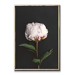 Large peony flower for sale  Delivered anywhere in USA 