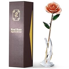 Eco space gold for sale  Delivered anywhere in USA 