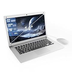 Computer portatile pollici usato  Spedito ovunque in Italia 