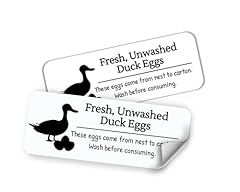 Duck egg carton for sale  Delivered anywhere in USA 