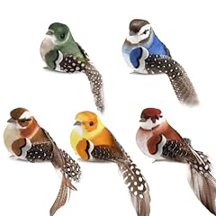 Jrygac lot oiseaux d'occasion  Livré partout en France