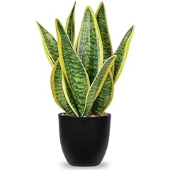 Hollyone artificial snake for sale  Delivered anywhere in USA 