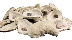 Shell connection oyster for sale  Delivered anywhere in USA 