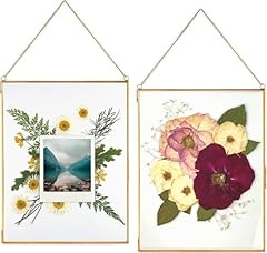 Beedecor double glass for sale  Delivered anywhere in USA 