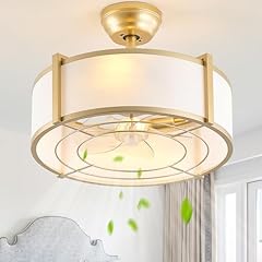 Sydacg caged ceiling for sale  Delivered anywhere in USA 