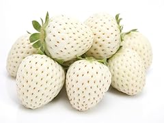 White strawberry plants for sale  Delivered anywhere in USA 