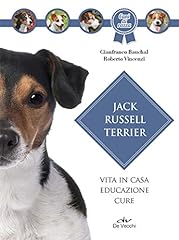 Jack russel terrier. usato  Spedito ovunque in Italia 