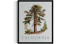 California coast redwood for sale  Delivered anywhere in USA 