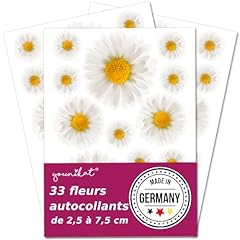Set autocollants marguerites d'occasion  Livré partout en France