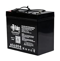 Raion power rg12550i4 for sale  Delivered anywhere in USA 
