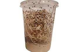 Acomantis 32oz aco for sale  Delivered anywhere in UK