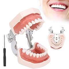 Modèle dents détachables d'occasion  Livré partout en France